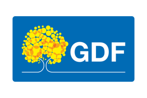 GDF - Governo do Distrito Federal